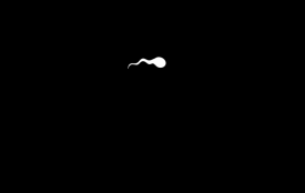 Sperm Loader Animation - GRAPHIC design by 7gone